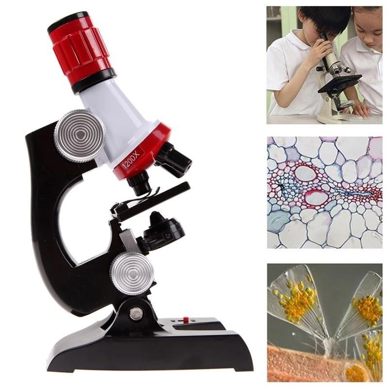 Microscopio escolar  100-1200x